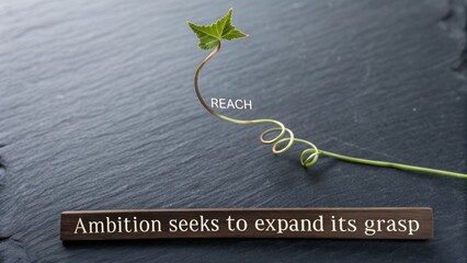 A young plant reaching upward on a textured stone background