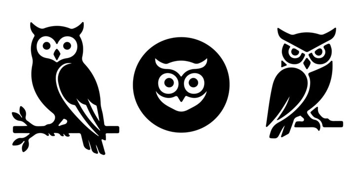 A set of cute cartoon owl illustrations featuring wise birds with big eyes and sharp beaks perched on nature branches or flying with wings spread in a funny wild animal vector art design
