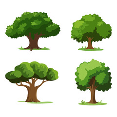 Tree Vector Illustration Collection Featuring Tropical and Orchard Trees with Mango, Apple, Banana, Orange, Coconut Palm and More Isolated on White Background