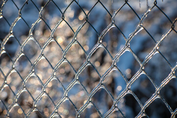 Fototapeta premium Frosted metal fence with ice and snow, weather, winter time, pattern, background