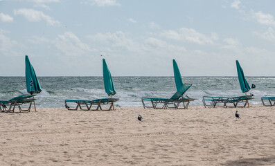 beach chairs and umbrellas on the beach
