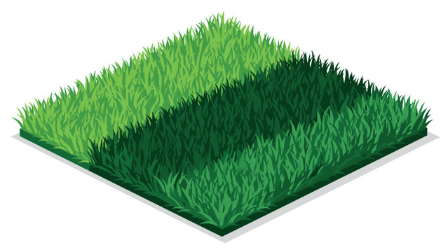 Isometric patch of green grass in light and dark shades
