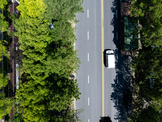 Aerial view: road, trees, vehicles, urban scene
