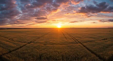 Expansive grain field displays wheel tracks under a dramatic colorful sunset sky