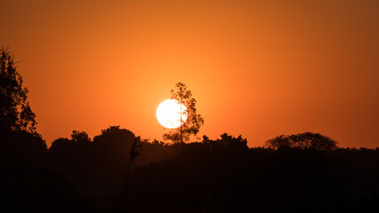 Sunset in the fields
