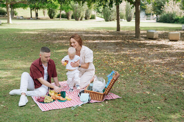 Family enjoying summer picnic in green park
