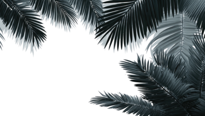 Monochrome depiction of palm fronds framing a negative space, suggesting foliage