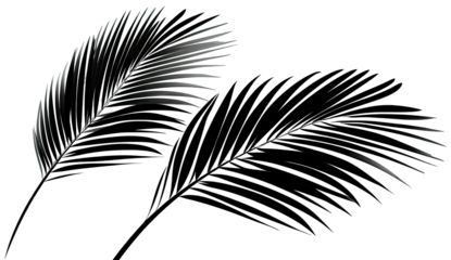 Two stylized, dark, and elegant feather-like fronds on a stark black backdrop