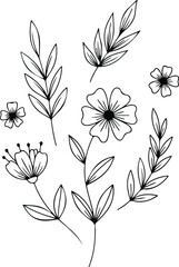 Obraz premium Delicate hand drawn black and white floral bouquet illustration