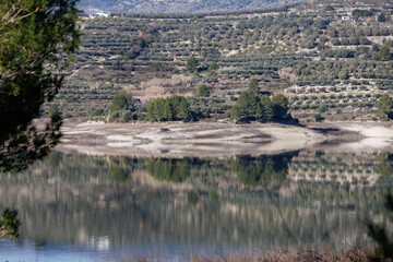 Paisaje de olivos en terrazas reflejados en el pantano de Beniarres, Espa&ntilde;a