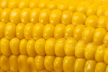 Horizontal macro shot of corn kernels forming a repetitive natural pattern. Highlights texture, freshness, and vibrant yellow tones.