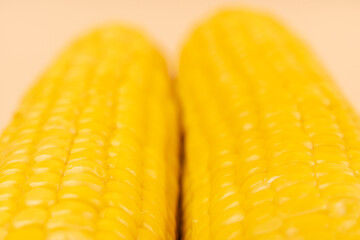 Soft-focus close-up of two corn cobs placed side by side. Warm yellow tones create a natural and fresh food background.