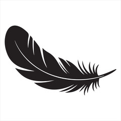 Obraz premium A black feather on a white background