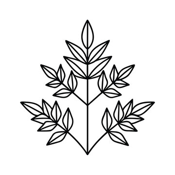 bitter herbs maror element