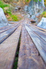 Wooden walkway in the forest, selective focus and blurred background