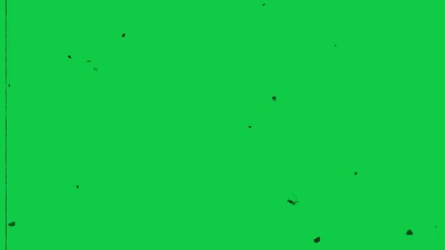 A vibrant  green Damage film effects grunge texture featuring watercolor paint splashes and ink splatters creates a decorative vector art background with a natural spring color palette