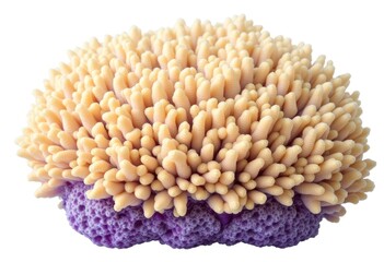 Clustered, light peach and lavender coral-like form