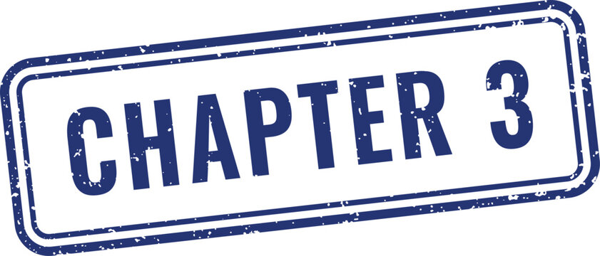 Professional blue chapter three rubber stamp seal with distressed ink effect for academic textbook section marking
