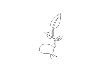 Fototapeta premium plant growth single line art template.
