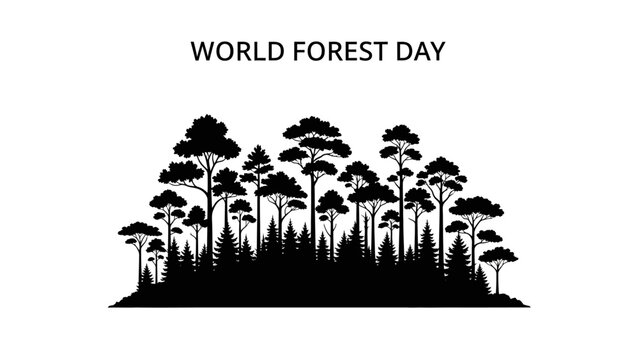 Silhouette of Trees on World Forest Day.