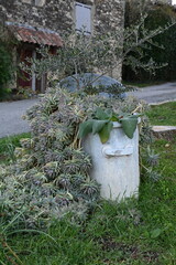 rando &agrave; Mane (Provence)