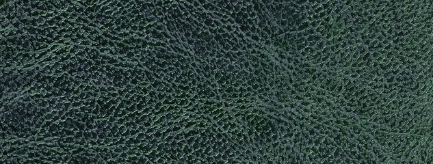 Dark green faux leather texture background with embossed reptile skin pattern. Structure of shiny surface, macro