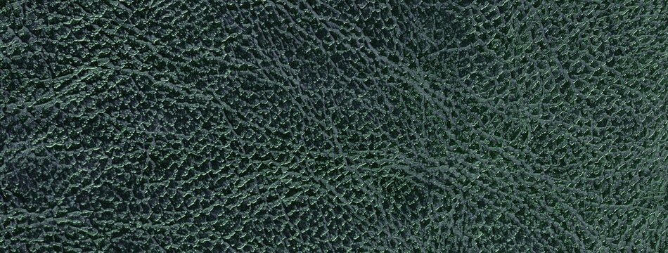 Dark green faux leather texture background with embossed reptile skin pattern. Structure of shiny surface, macro