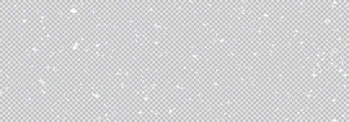 Obraz premium Flying dust particles and snow falling on a transparent background