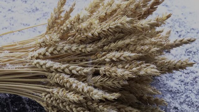 A bunch of dry wheat lies on a board during a snowfall.