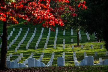 View of rows of white headstones stretch across the verdant hills, framed by the fiery red leaves of autumn trees, a solemn and beautiful tribute, Arlington, Virginia, United States.