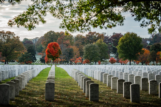 View of rows of white headstones stretch across the landscape, interspersed with vibrant fall foliage under a canopy of green, Arlington, Virginia, United States.
