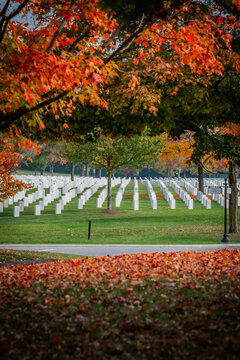 View of rows of white headstones stand solemn against the vibrant autumn foliage, a poignant scene of remembrance and natural beauty, Arlington, Virginia, United States.