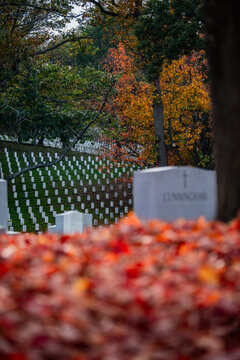View of solemn white headstones standing in perfect rows amidst vibrant autumn foliage, a poignant scene of honor and remembrance, Arlington, Virginia, United States.