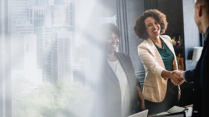 Business partners shaking hands in agreement