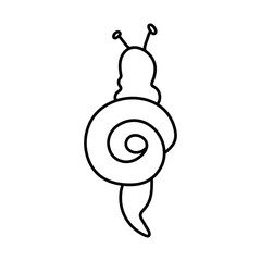 Single hand drawn snail. Top view. Vector illustration in doodle style. Isolate on a white background.