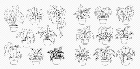 Set of various potted houseplants in black and white outline for home decor and gardening concepts.
