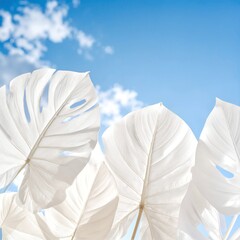 Delicate white leaves flutter gently against a vibrant blue sky, creating a striking contrast that highlights the beauty of nature's palette.