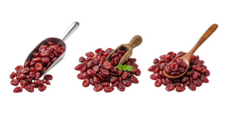 Dried Cranberries in Scoops and Spoon - Healthy Food Ingredients