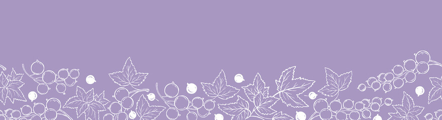 Currant Berry. Botanical Seamless Border. White Line Art Berry Trim on Purple Background. Vector outline Horizontal illustration. Not AI