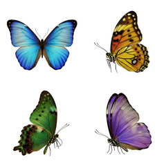 Naklejka premium Collection of colorful butterflies isolated on transparent background