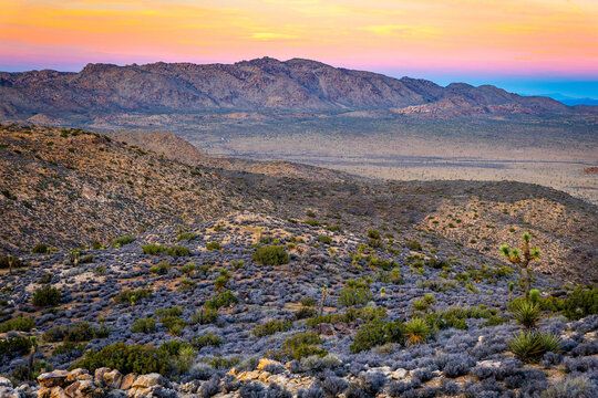 Mountain range view from Ryan Mountain Trail