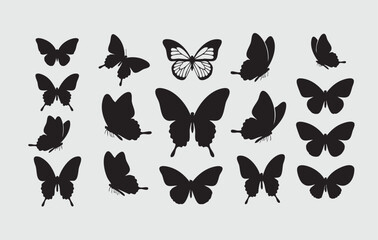 Set silhouettes of  Butterfly