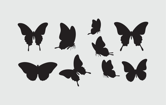 Set silhouettes of  Butterfly