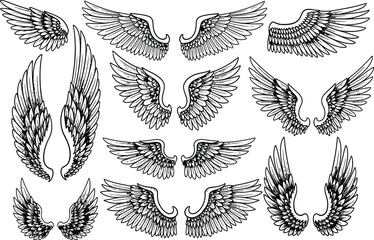 Angel wings hand drawn. Sketch bird line wing collection. Elements for logo, label or tattoo. Vintage item. Creative badge, emblem or label decor. Black outline vector isolated  © Alpona