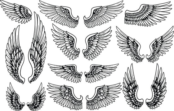 Angel wings hand drawn. Sketch bird line wing collection. Elements for logo, label or tattoo. Vintage item. Creative badge, emblem or label decor. Black outline vector isolated 