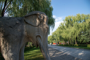 Fototapeta premium Stone Elephant Statue on Sacred Way to Ming Tombs, Beijing China