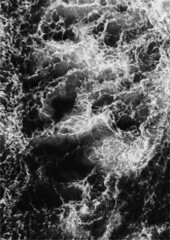 Large vector halftone water texture with a transparent background