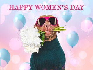 Happy Women's Day. Cute puppy and congratulatory inscription. Close-up, indoors, studio shot. Congratulations for family, loved ones, relatives, friends and colleagues. Pets care concept