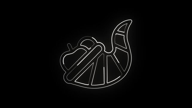 Glowing neon line cornucopia with food overflow animation. Thanksgiving harvest icon animation HD video isolated on black background