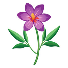 agrostemma githago flower vector on white